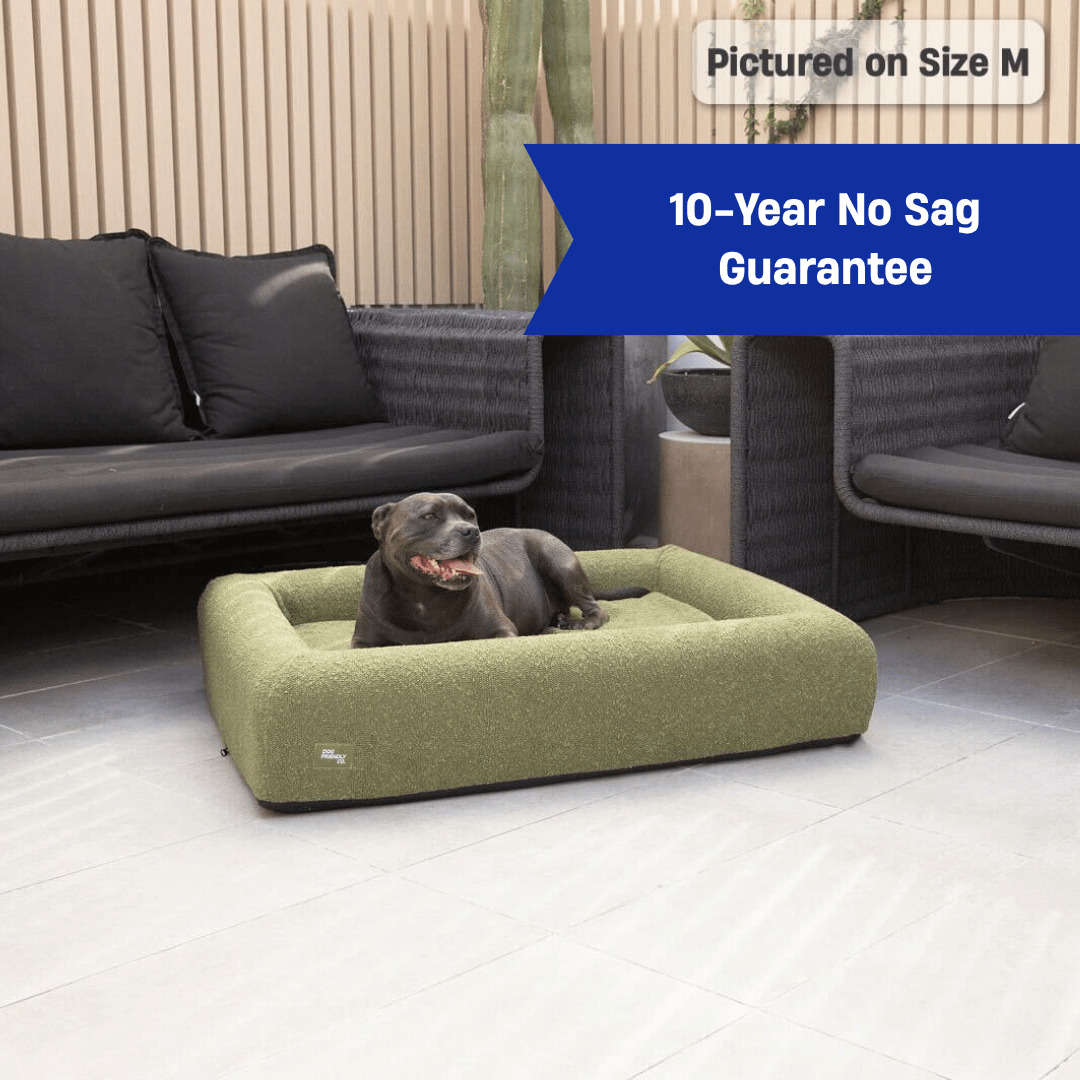 Premium Orthopedic Memory Foam Dog Bed - Green Bouclé (Small)