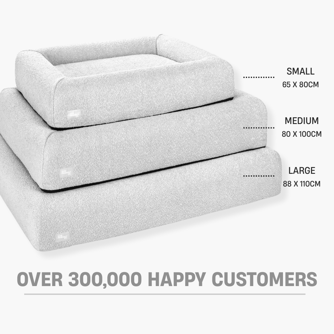 Premium Orthopedic Memory Foam Dog Bed - Grey Bouclé (Large)