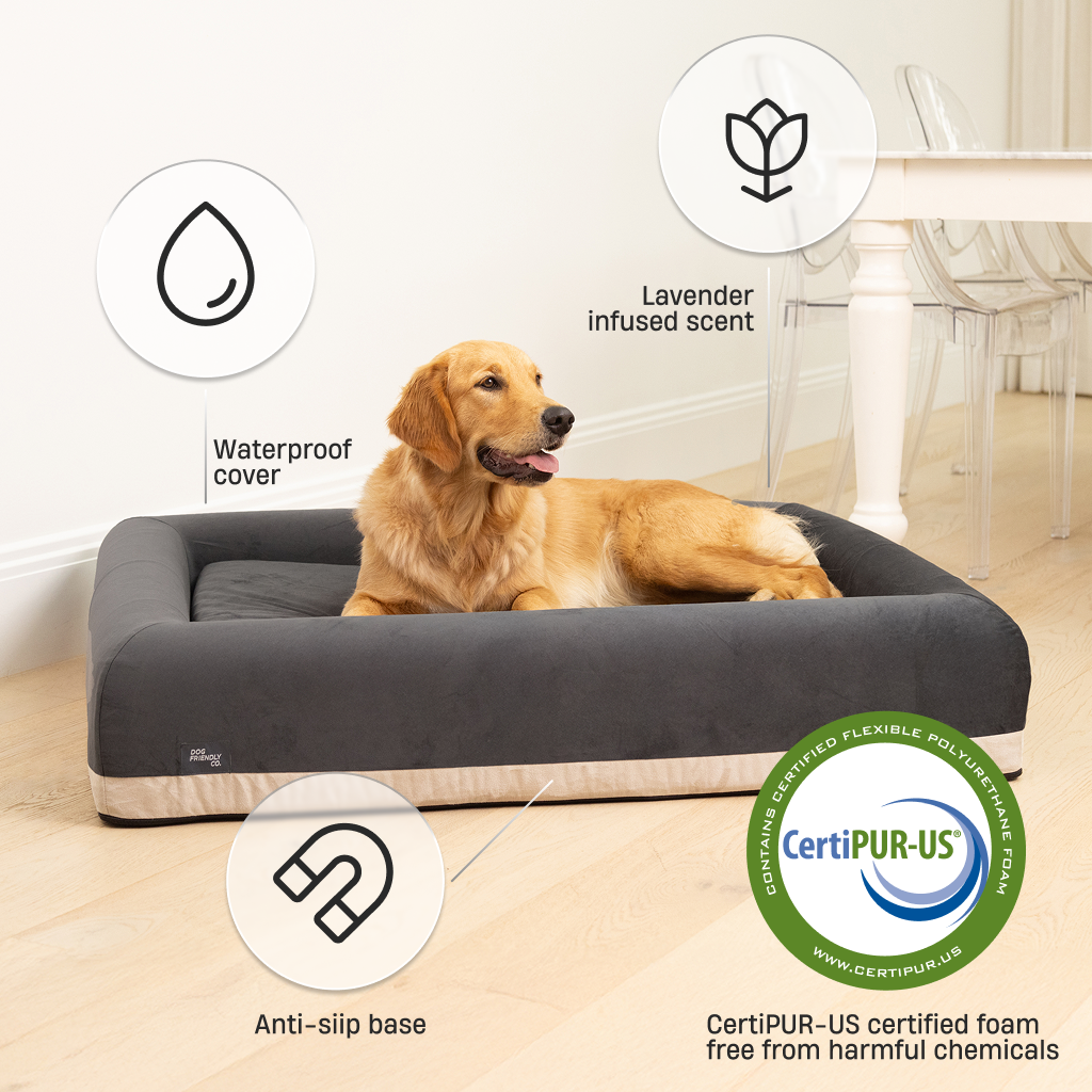 Premium Orthopedic Memory Foam Dog Bed - Charcoal (Medium)