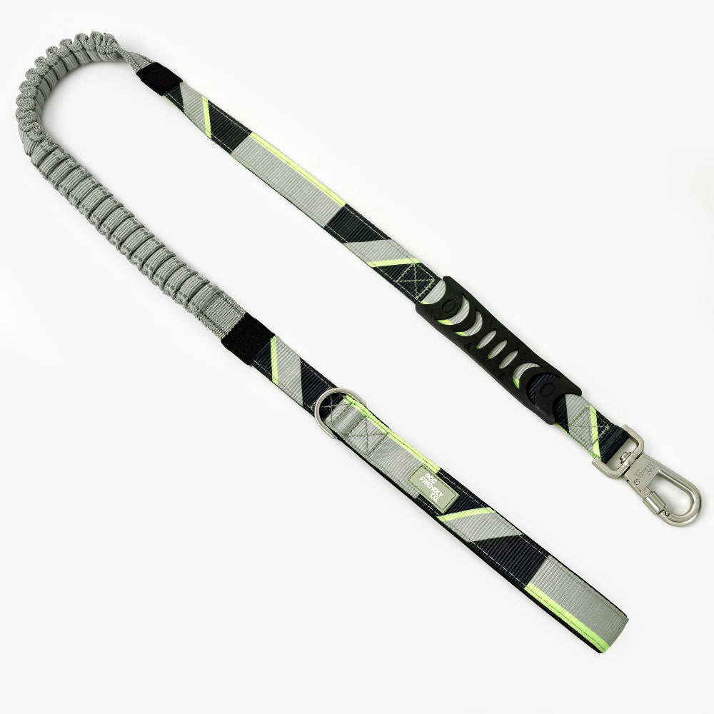 Collar Walk Set - Limited Edition Green