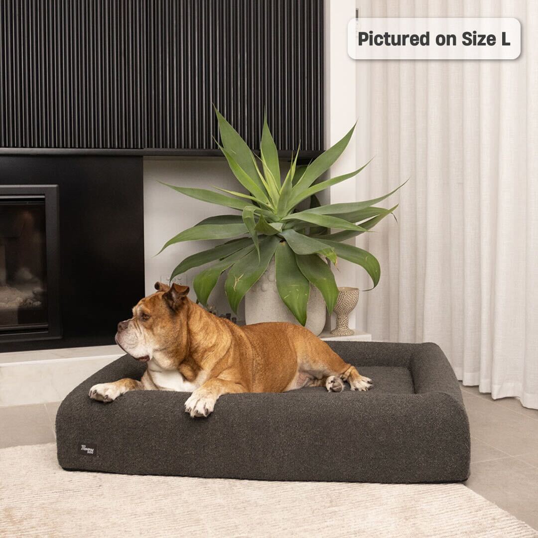 Premium Orthopedic Memory Foam Dog Bed - Brown Bouclé (Medium)