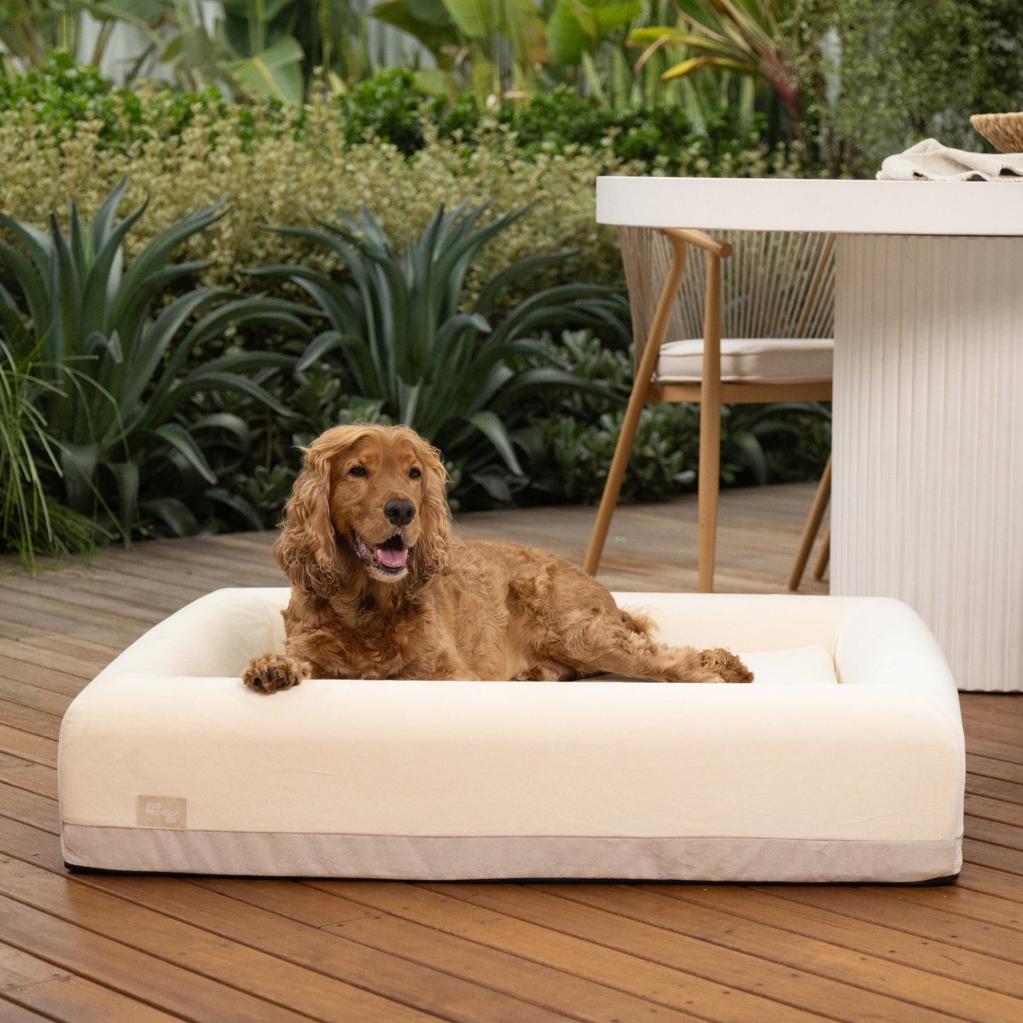 Replacement Cover - Beige