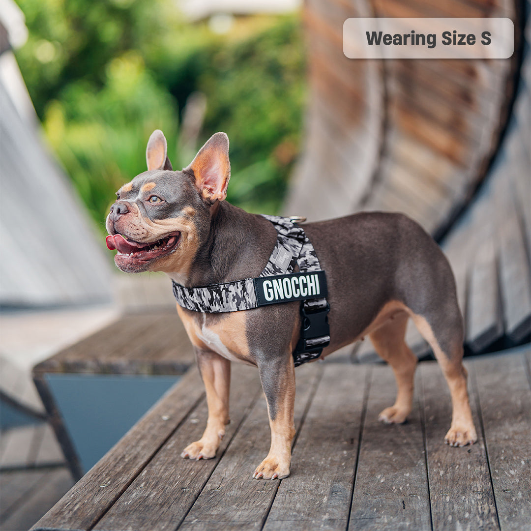 Dog Harness - Grey Camo