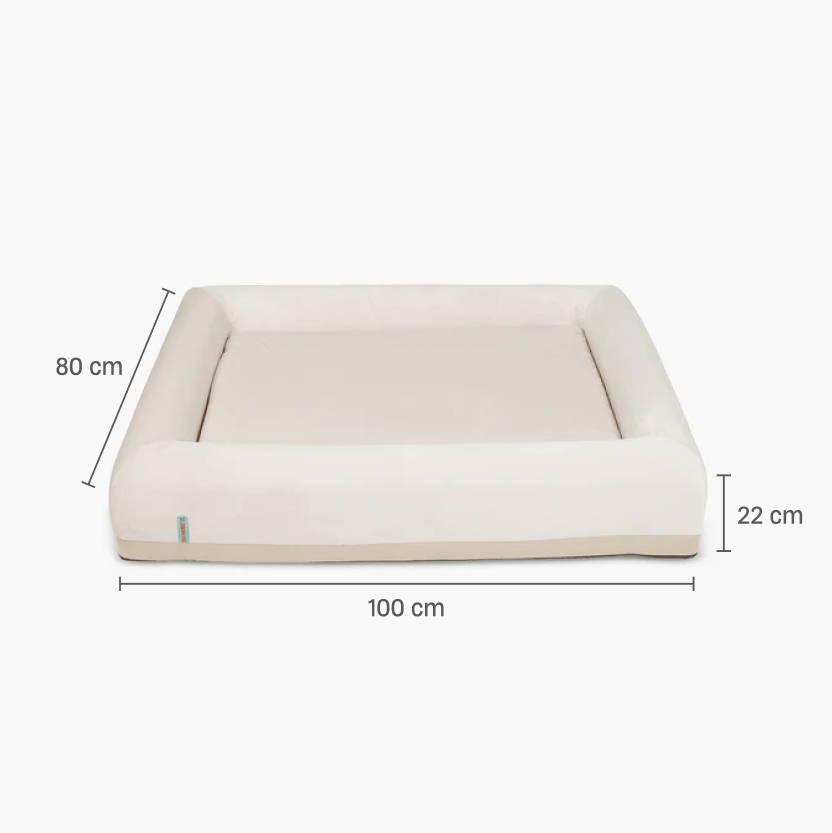 Orthopedic Memory Foam Dog Bed - Beige (Medium)