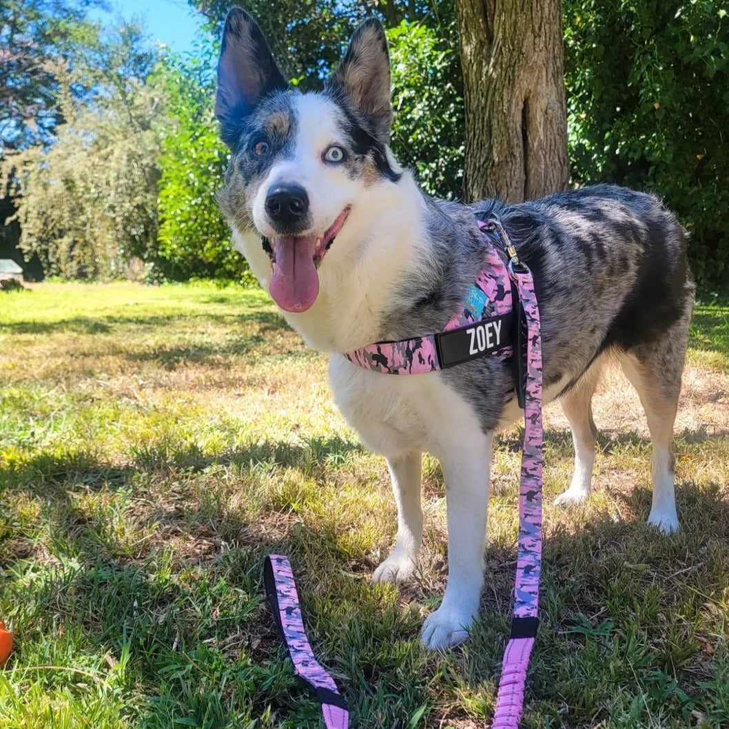 Dog Harness - Pink Camo