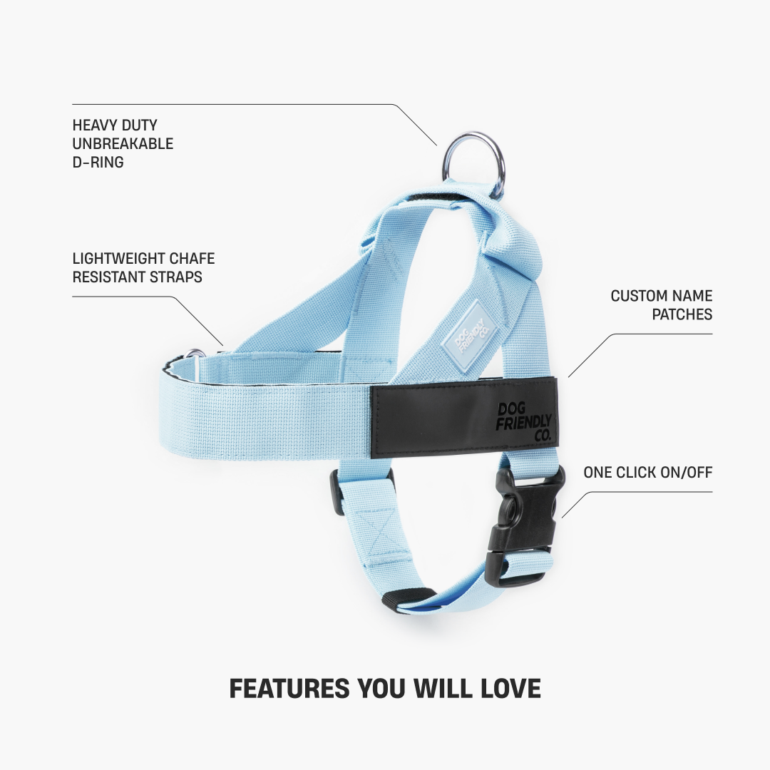 Dog Harness - Sky Blue