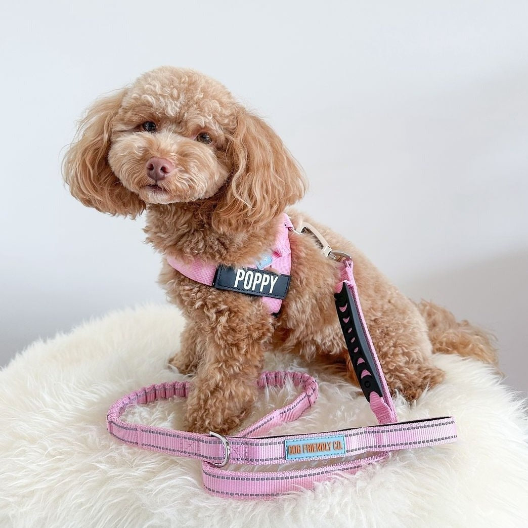 Dog Harness - Pink