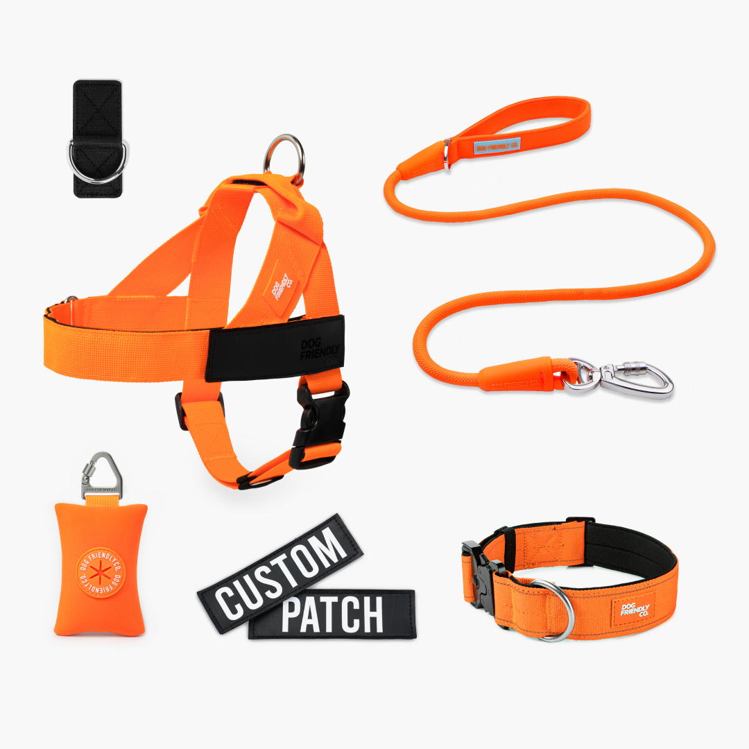 Walk Essentials - Hi-Vis Orange