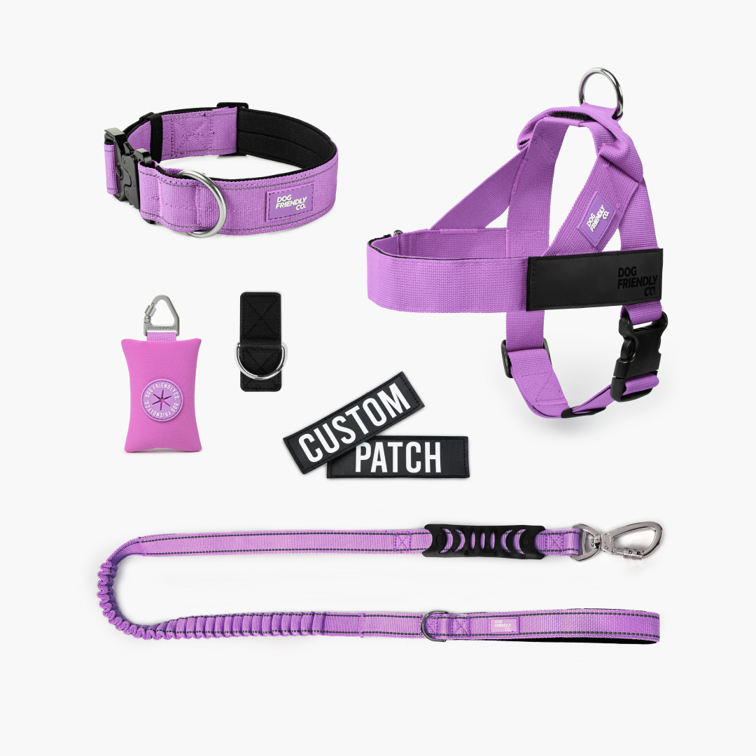 Walk Essentials - Purple