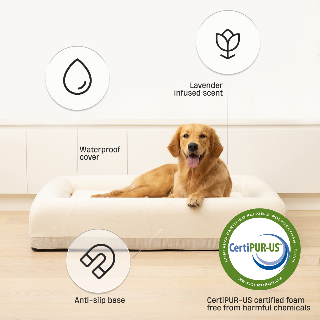 Premium Orthopedic Memory Foam Dog Bed - Beige (Medium)