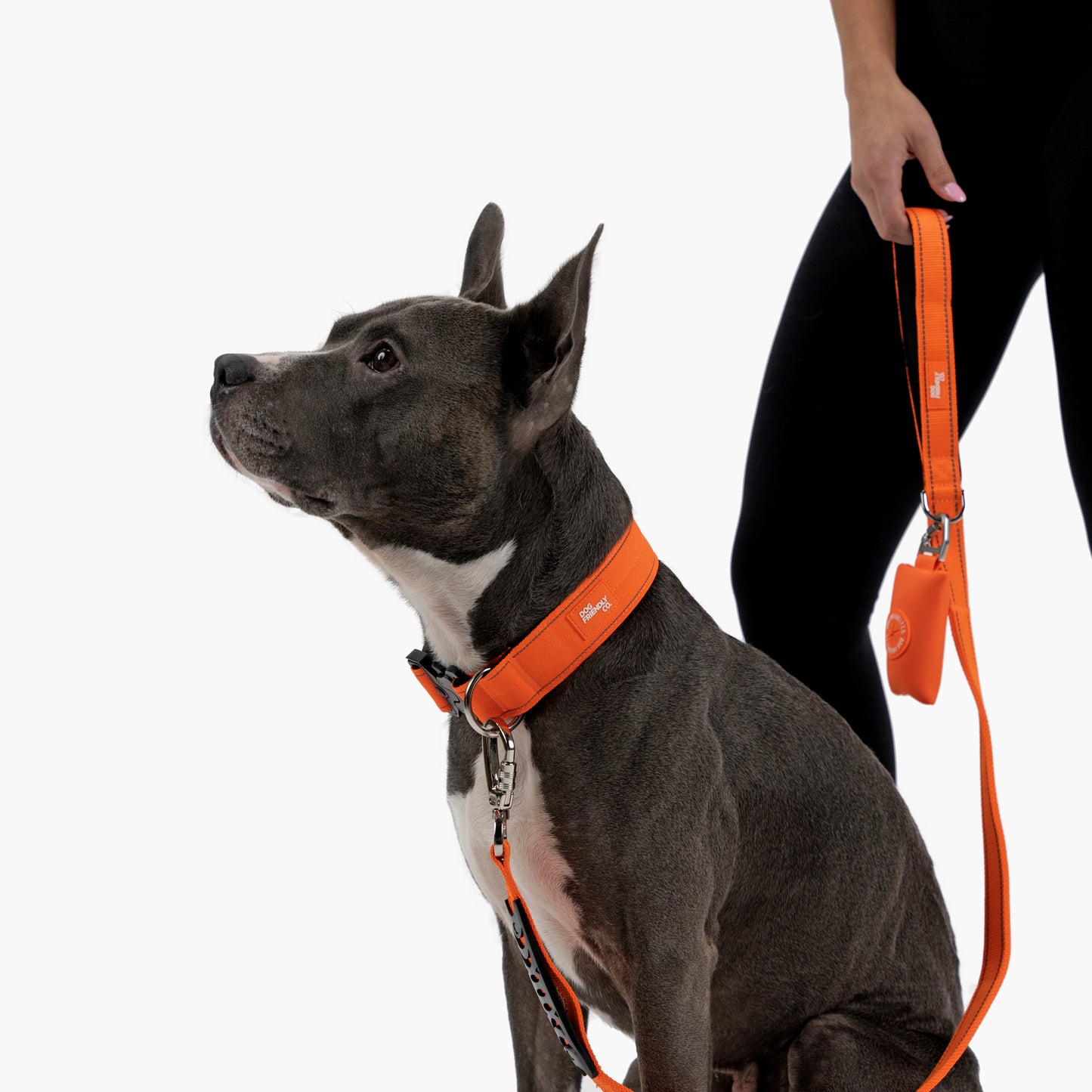 Tactical Dog Collar - Orange