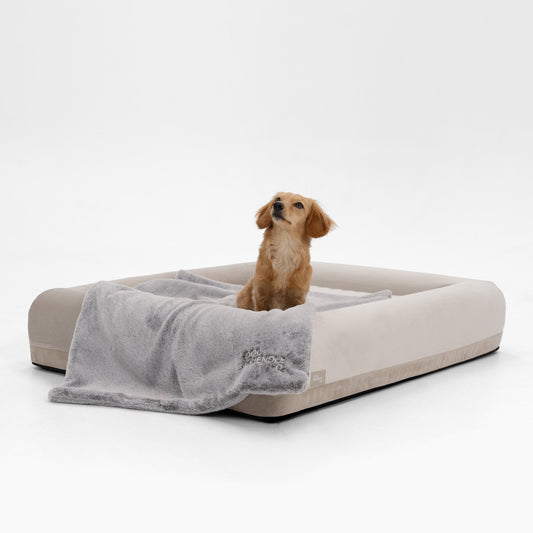 Premium Orthopedic Memory Foam Dog Bed - Beige (Small)