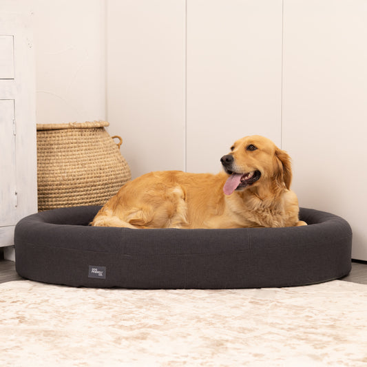 Chill Pill Memory Foam Dog Bed - Charcoal (Large)