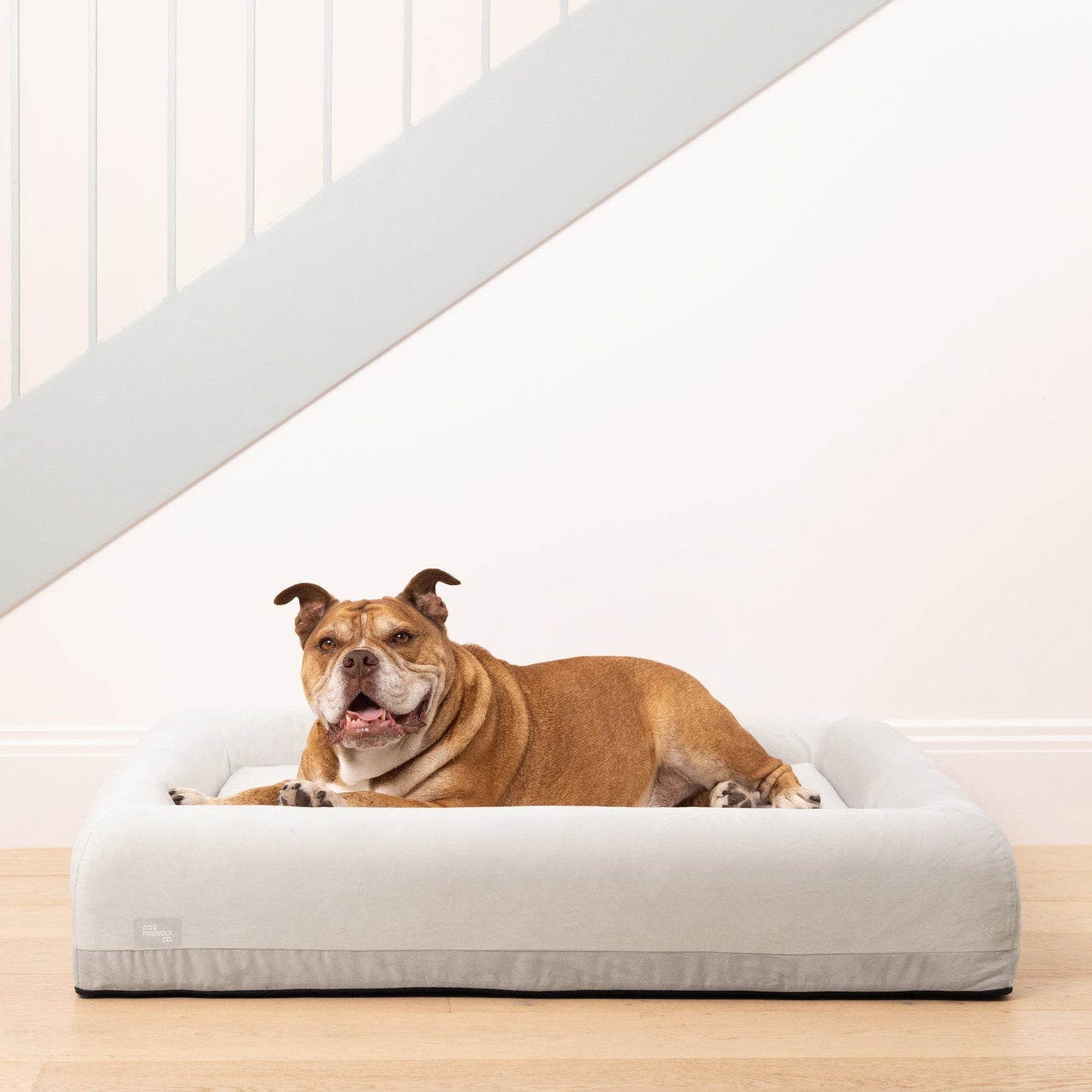 Premium Orthopedic Memory Foam Dog Bed - Grey (Medium)