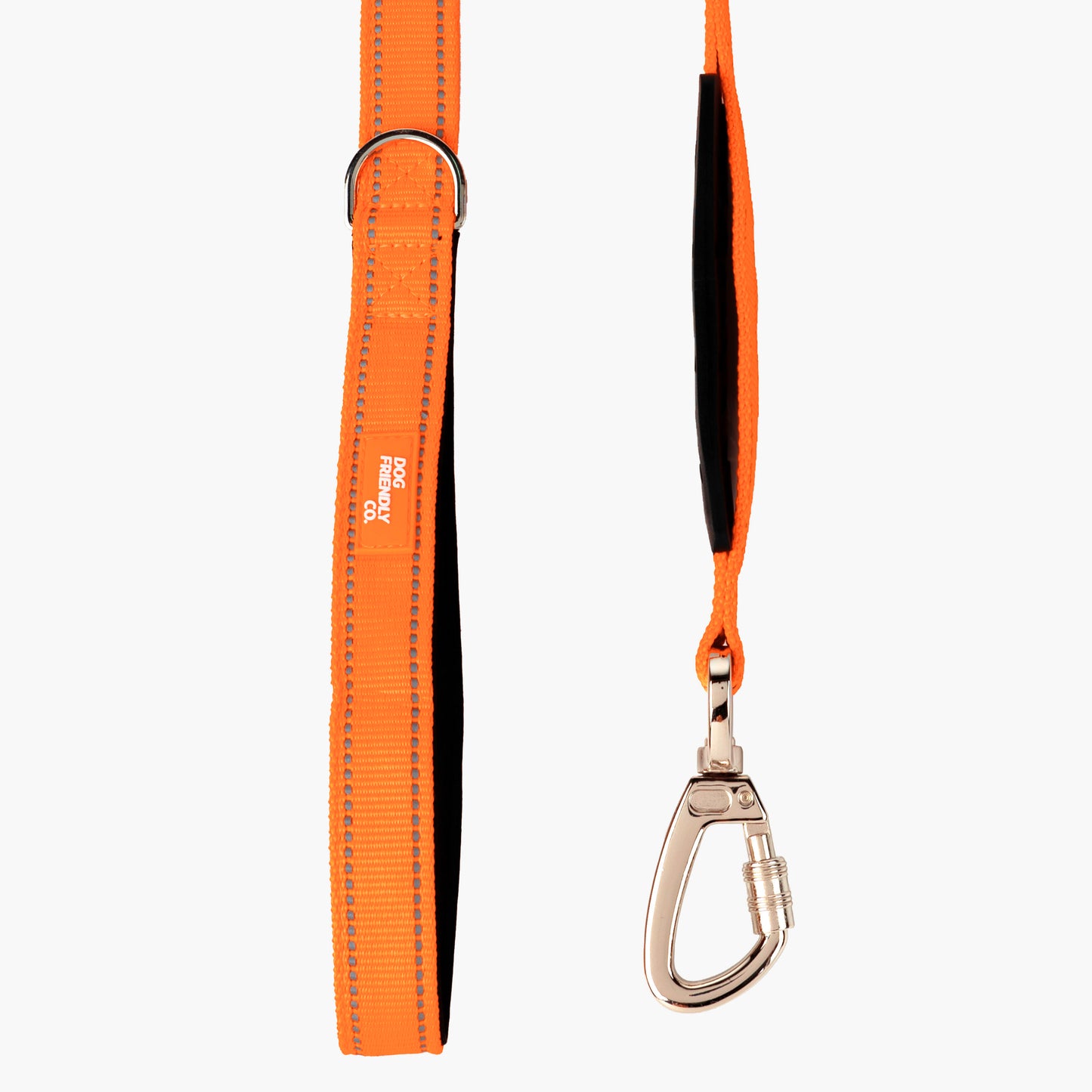 Bungee Dog Leash - Orange