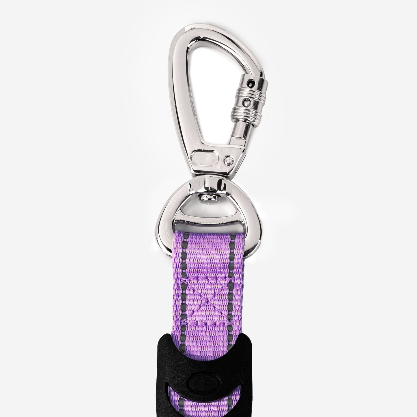 Bungee Dog Leash - Purple