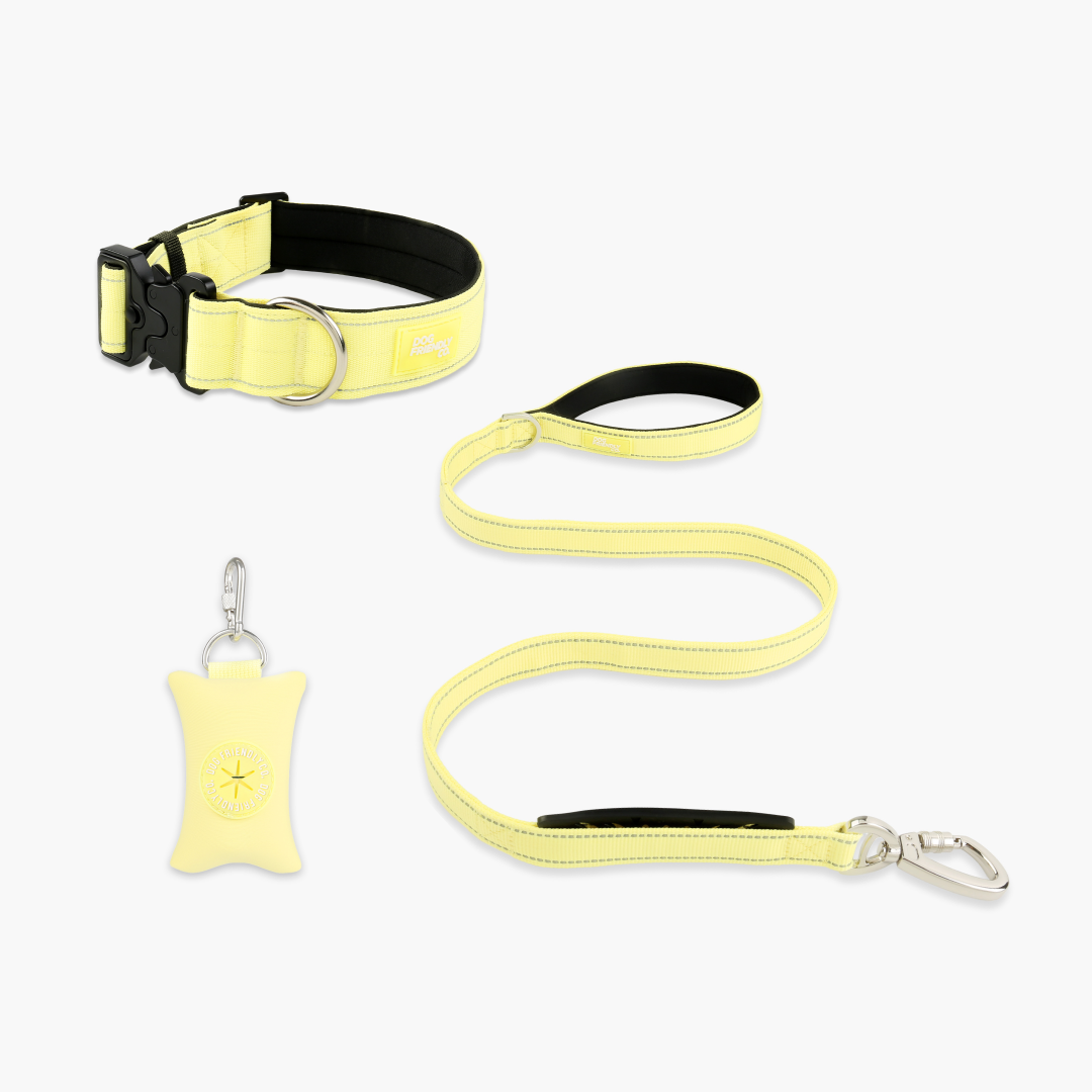 Collar Walk Set - Yellow