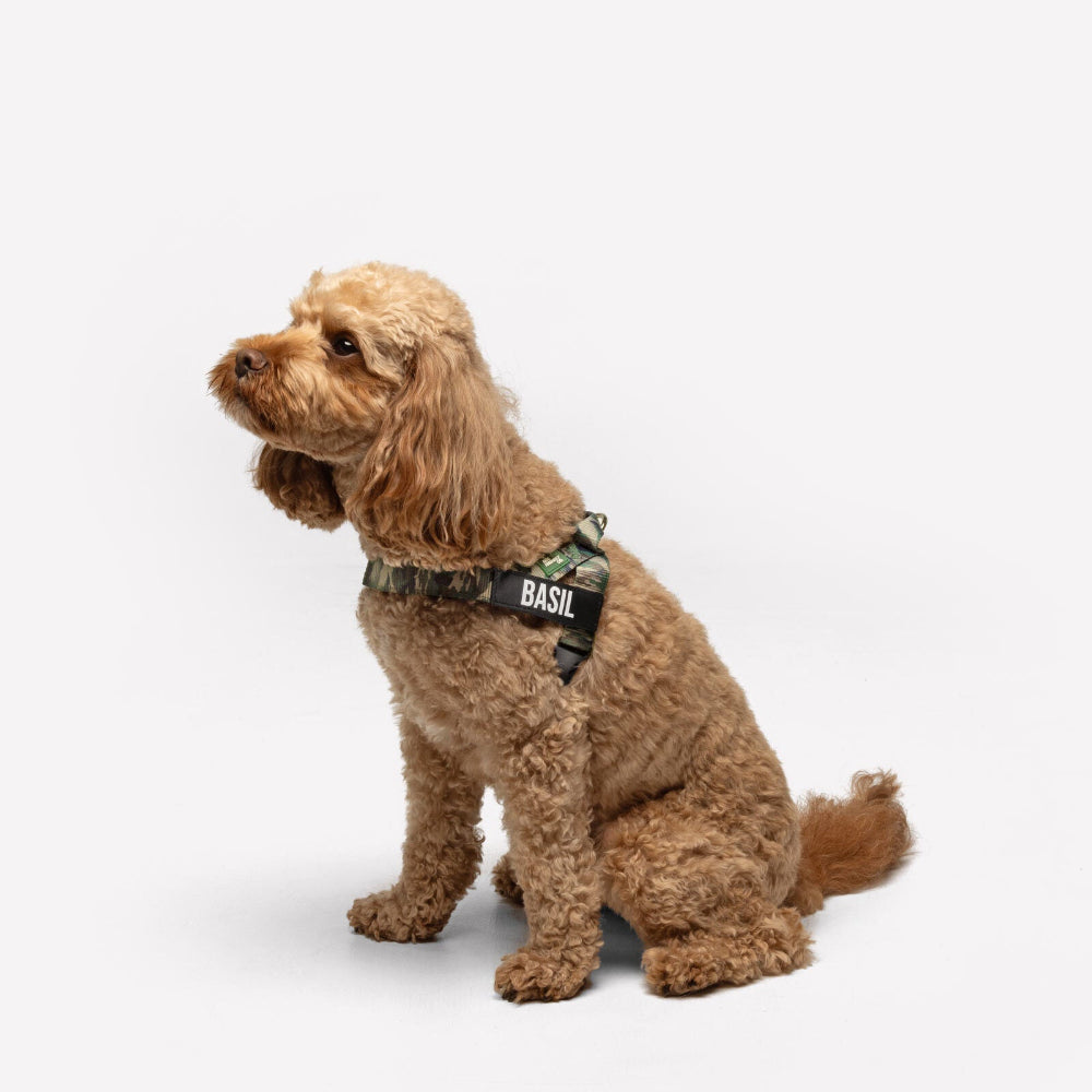 Dog Harness - Green Camo