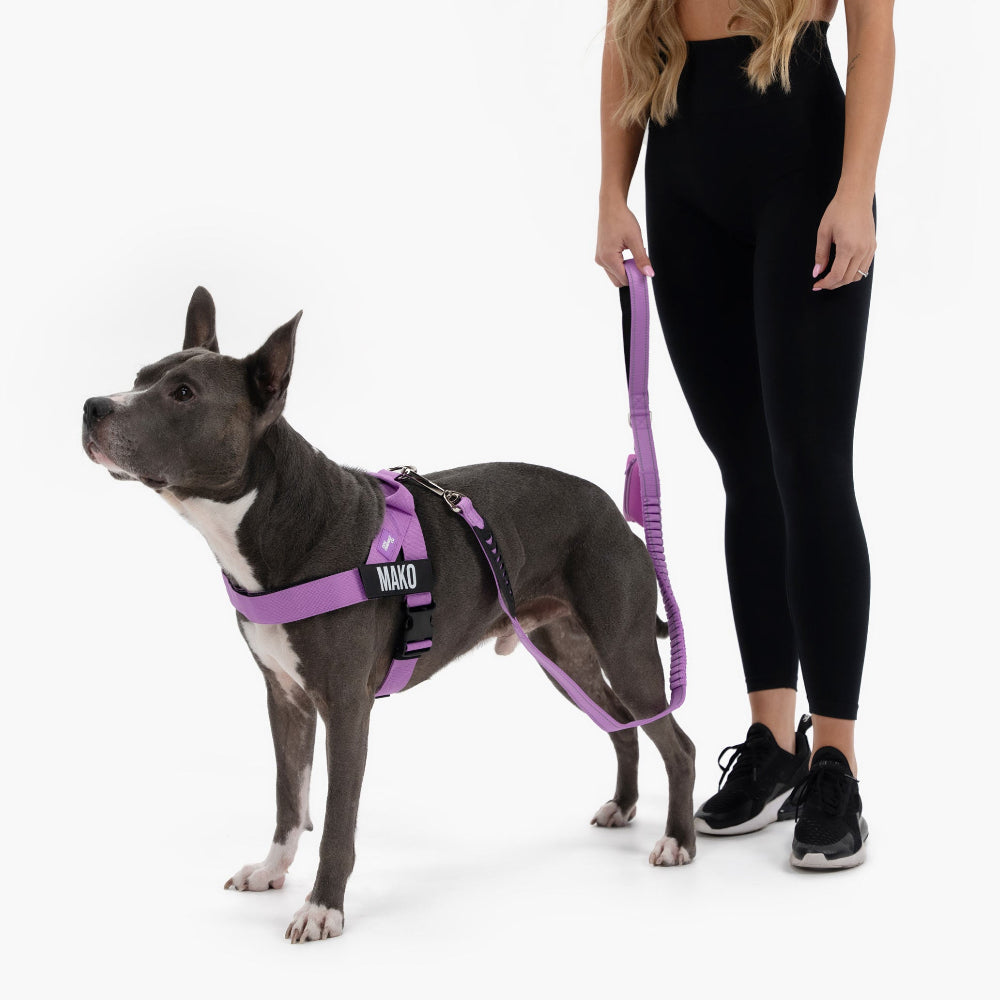 Walk Essentials - Purple