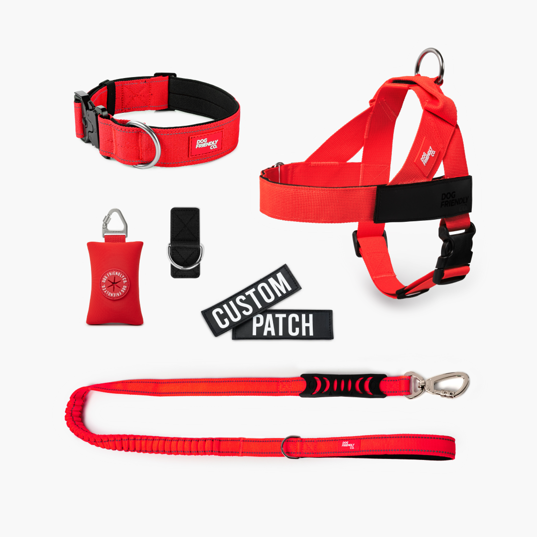 Walk Essentials - Red