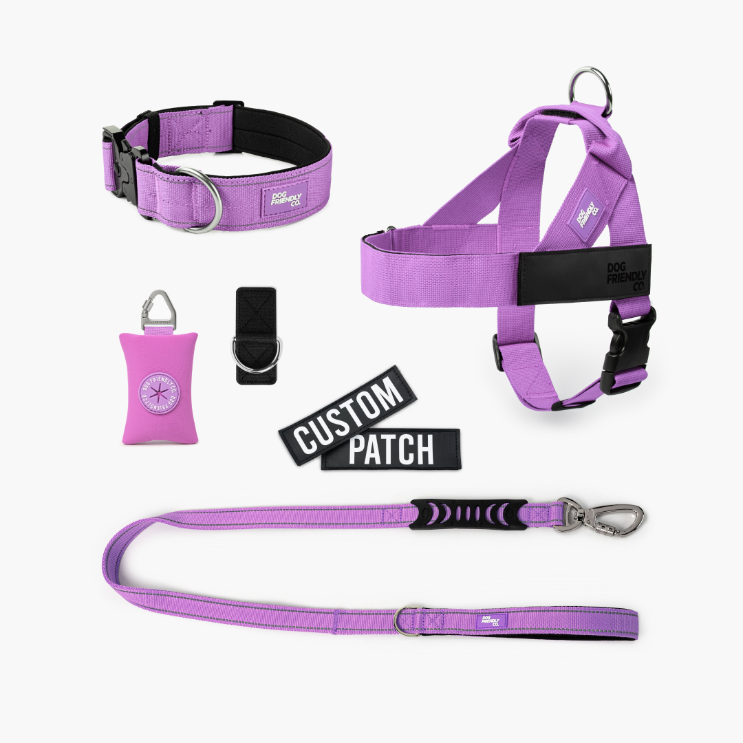 Walk Essentials - Purple