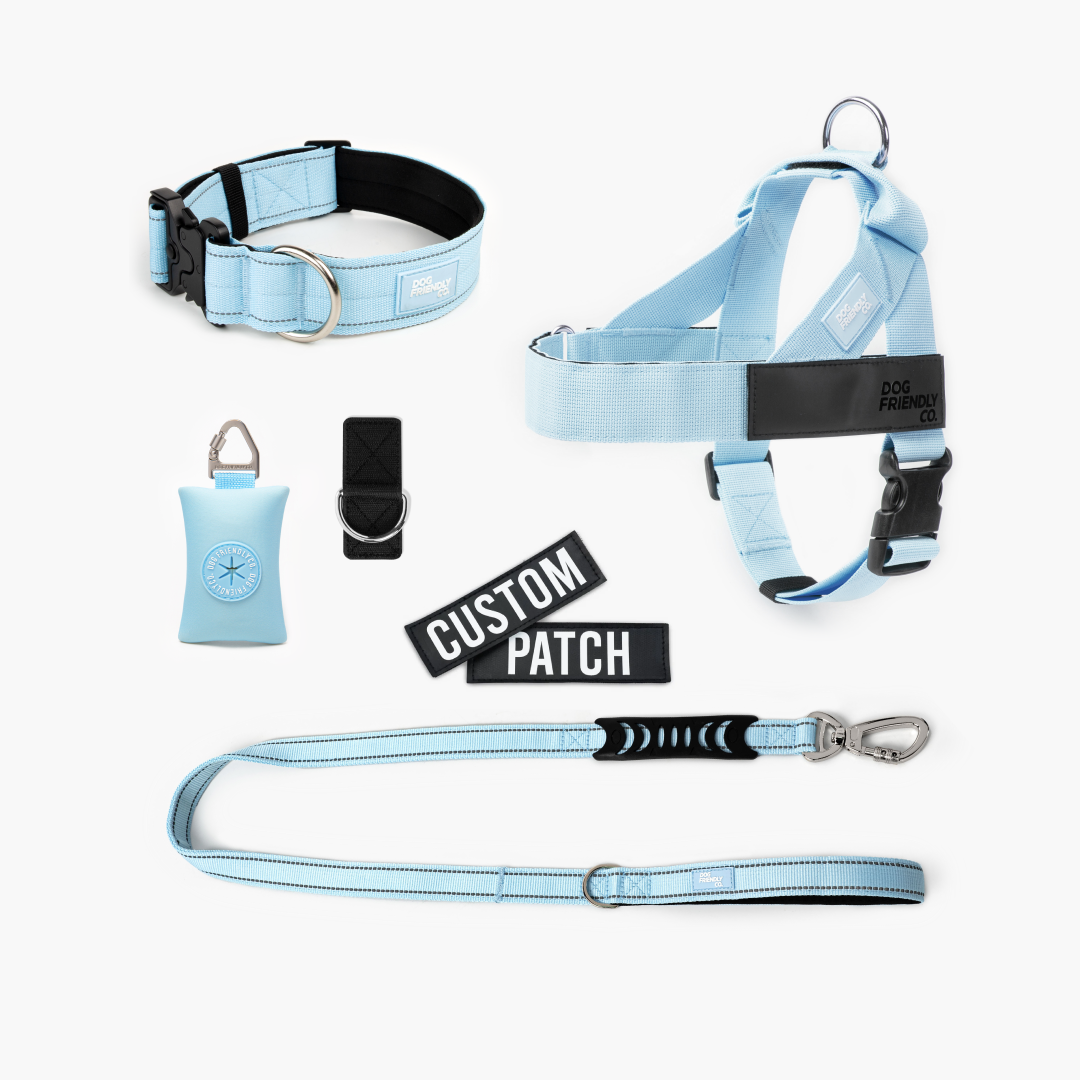 Walk Essentials - Sky Blue