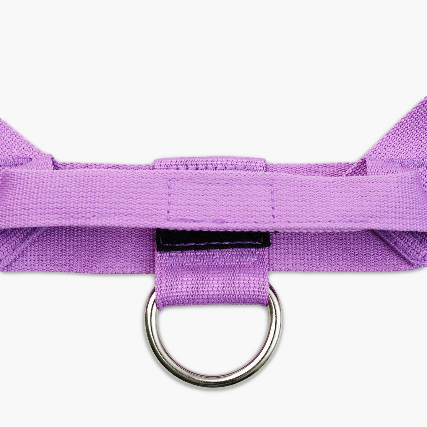 Dog Harness - Purple