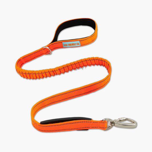 Bungee Dog Leash