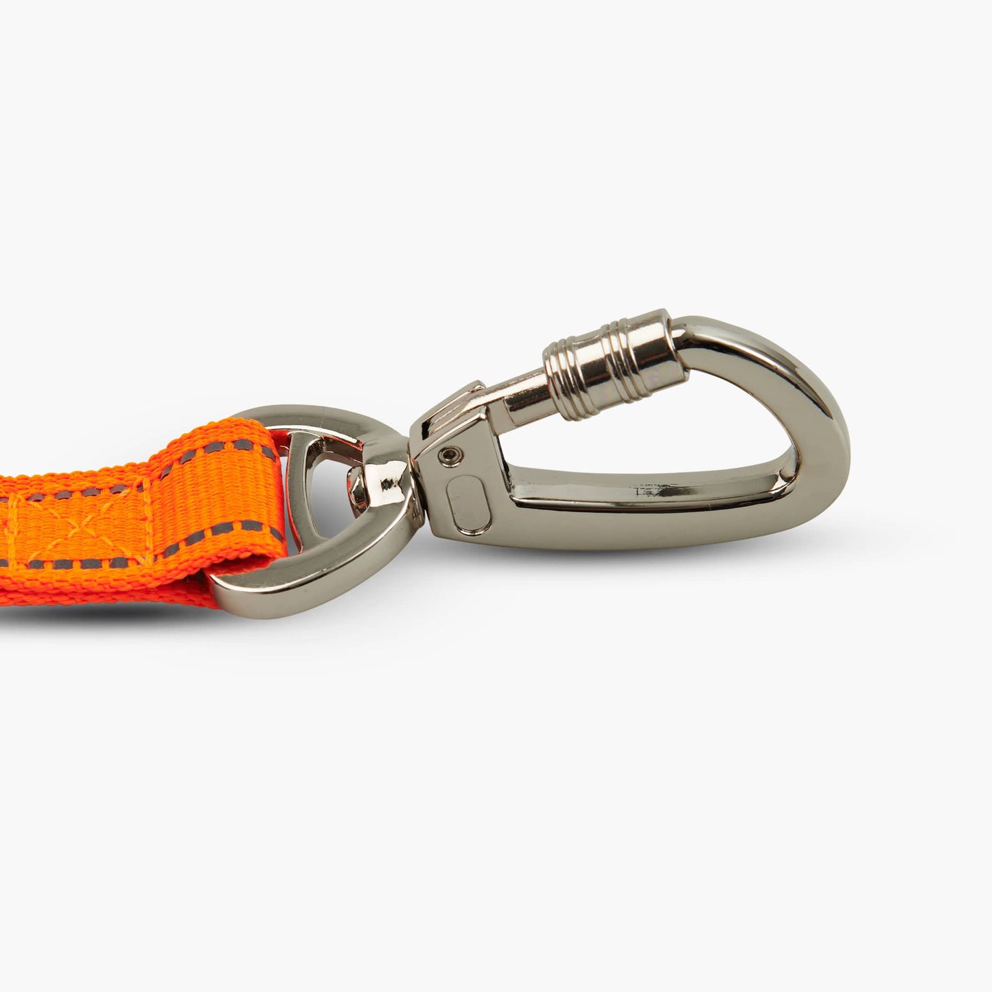 Bungee Dog Leash